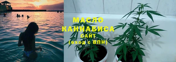 прущая мука Арсеньев