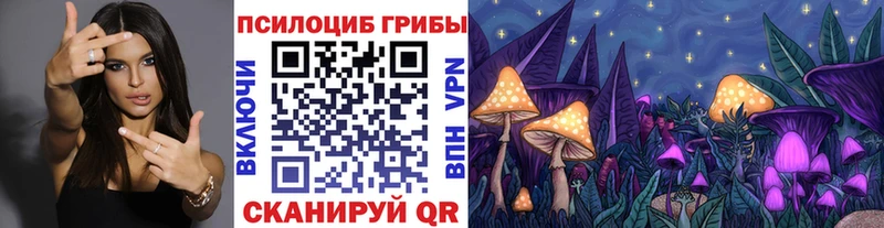 Галлюциногенные грибы Psilocybe Ахтубинск